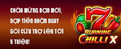 Hoàn Trả Không Giới Hạn